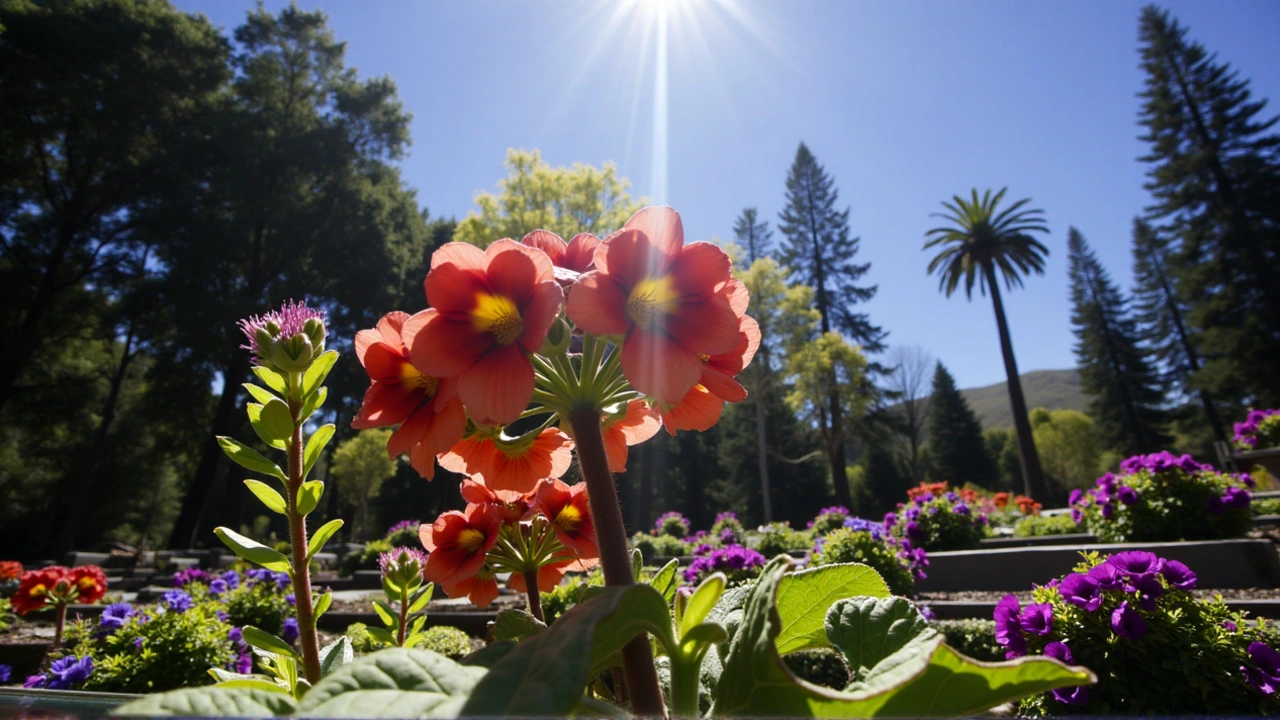 ¿Cuándo Comienza la Primavera en Chile? Descubre los Detalles del Equinoccio de Primavera