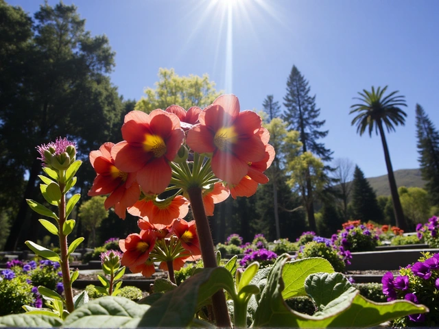 ¿Cuándo Comienza la Primavera en Chile? Descubre los Detalles del Equinoccio de Primavera